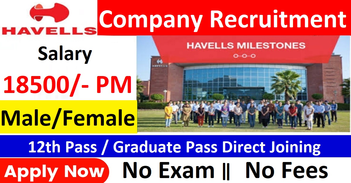 Havells India Company Recruitment