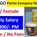 Indigo Paints Company Recruitment