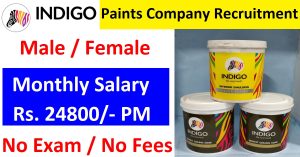 Indigo Paints Company Recruitment