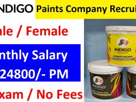 Indigo Paints Company Recruitment