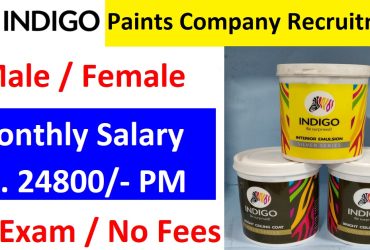 Indigo Paints Company Recruitment