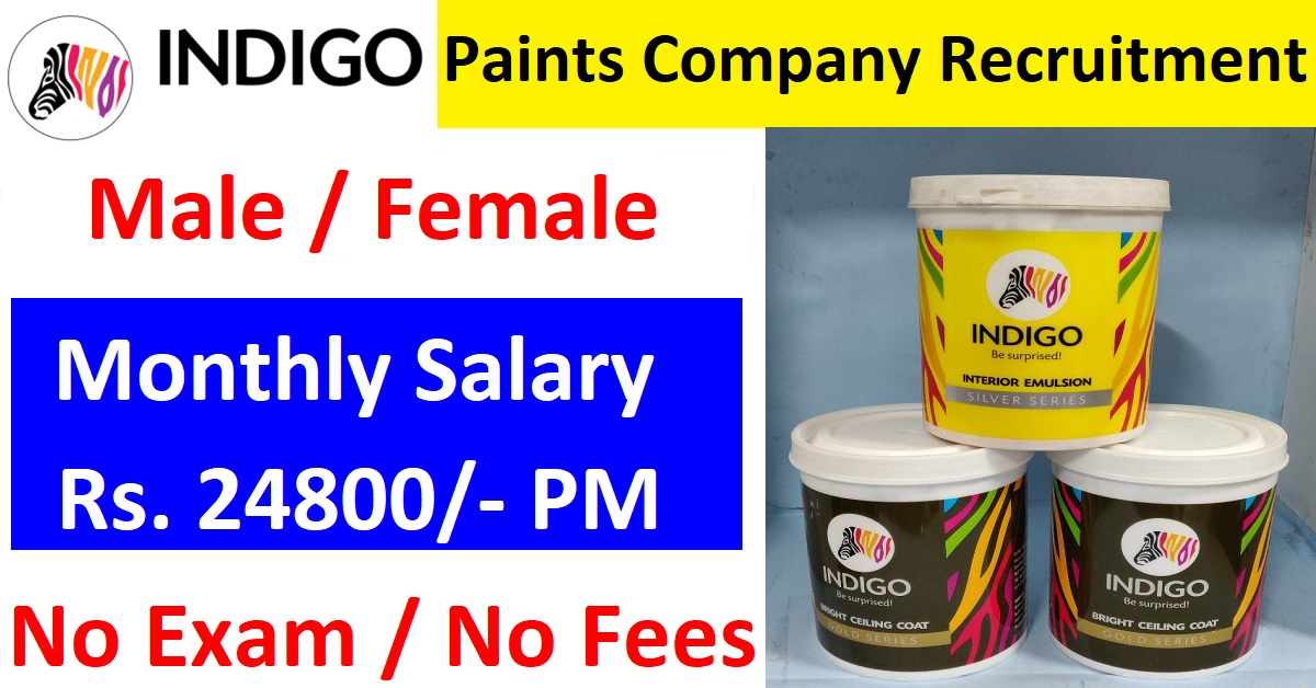 Indigo Paints Company Recruitment